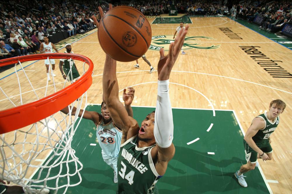 有望成长为 有望成长为